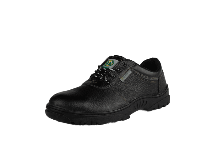 Dragon 1NR Shoes