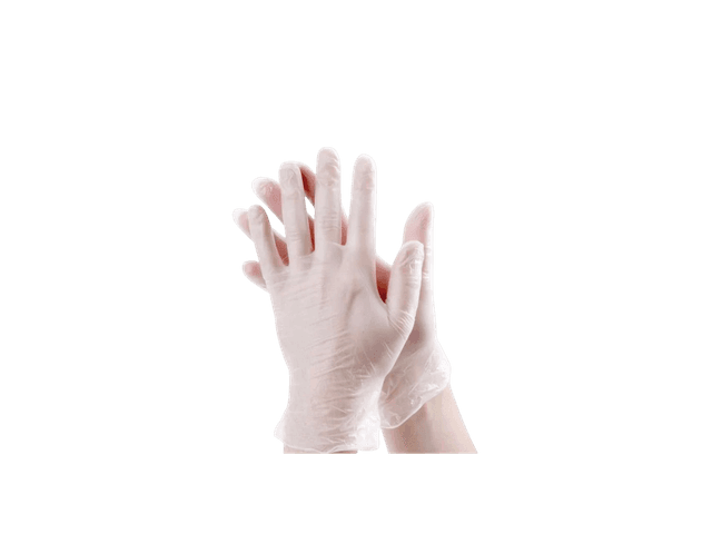 ANSa Vinyl Gloves
