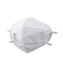 Khẩu trang Deltaplus WM1KN95BHC