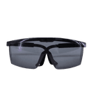 Kính bảo hộ Everest EV-105B